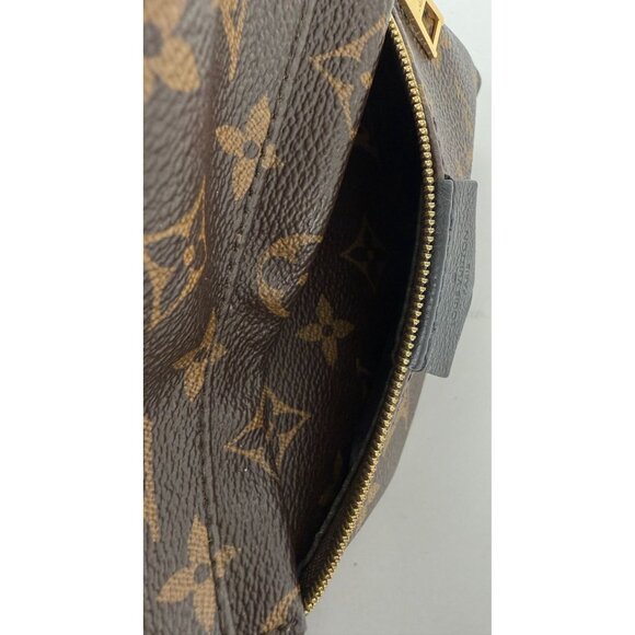 Louis Vuitton Backpack Palm Springs PM Monogram Canvas Backpack main image 7
